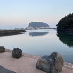 Jeju l’île des mandarines