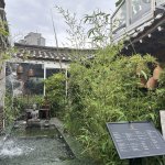 Séoul brève de comptoir