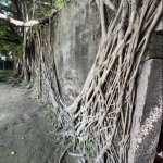 Tainan ou la ville des forts