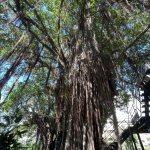 Tainan ou la ville des forts
