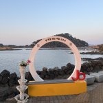 Jeju l’île des mandarines