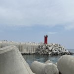 Sea, « San » and Sun