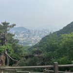 Seoul forever !