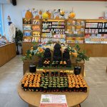 Jeju l’île des mandarines