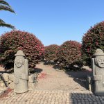 Jeju l’île des mandarines