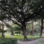 Taichung où la culture rayonne