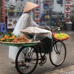 Le Vietnam